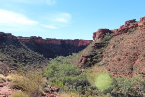 Kings Canyon & Alice Springs-010